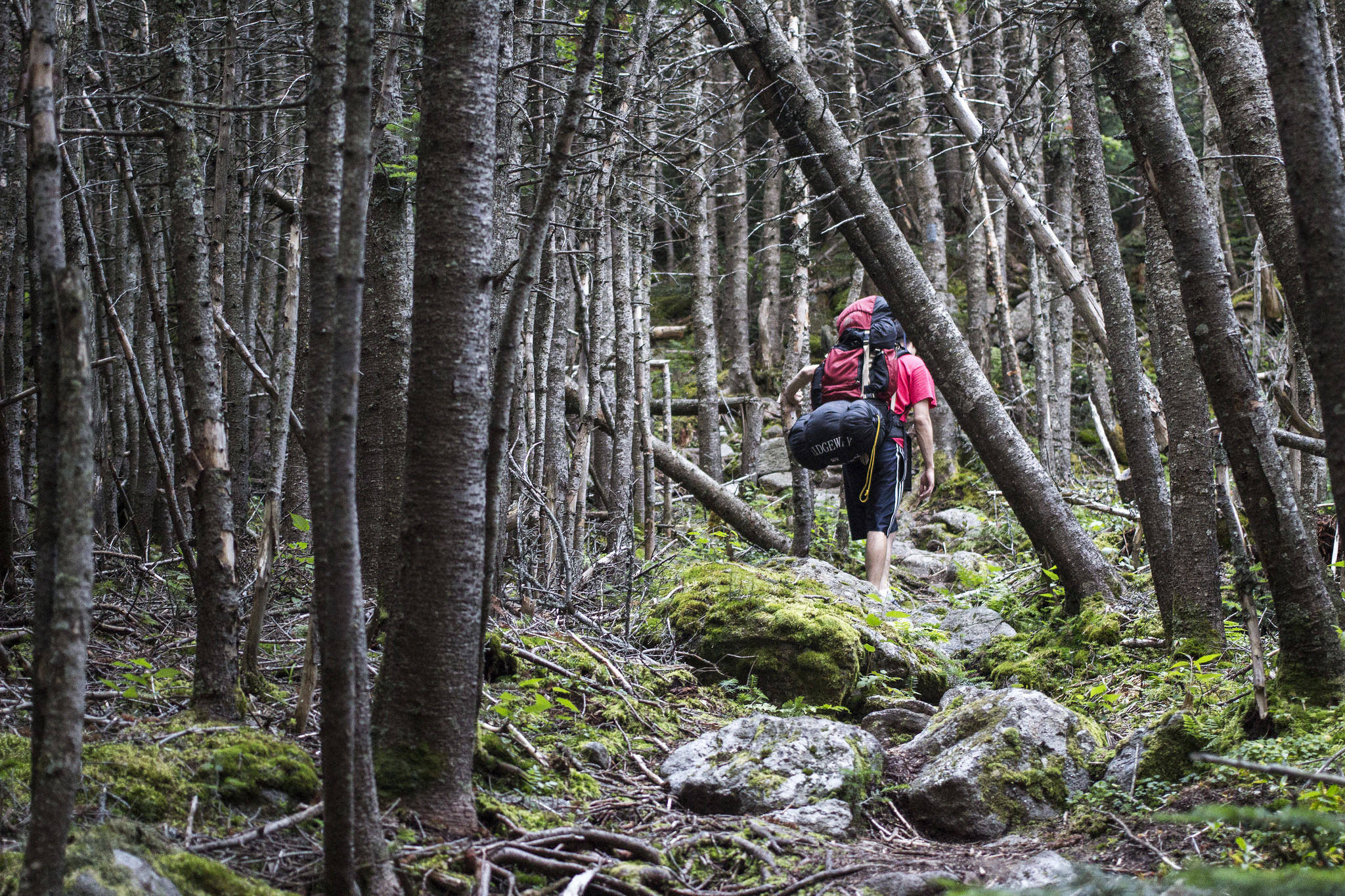 presidential_traverse_tunnel